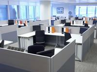 什么样的工作环境适合双鱼座