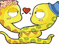 结婚之后，生肖蛇的担心