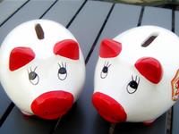 通过理财来提升财富——猪