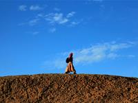 以自我为中心的生肖君