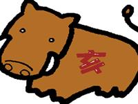 最适合生肖猪的宠物