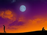 感情总是无疾而终的生肖