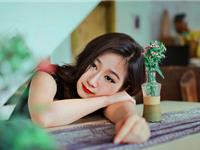 那些越挫越勇的生肖君