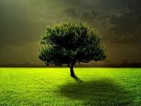 占卜什么事会拖累你