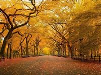 秋季财运最旺的四大生肖