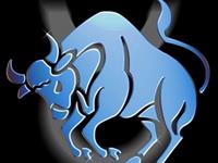 金牛座工作如何发挥最大潜能