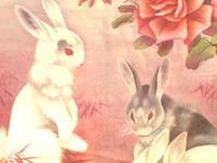 生肖兔中秋出游最强攻略