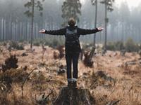 占卜你最近能心想事成吗