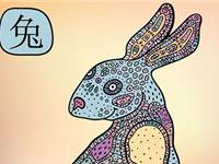 生肖兔会因为什么步入婚姻