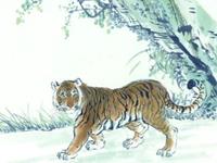 生肖虎什么年龄段有可能一夜暴富