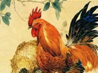 属鸡2018年运势及运程 2018年属鸡人全年每月运势