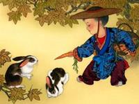 生肖兔提防小人大法