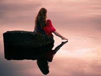 张盛舒十二生肖2017年运势