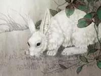 属兔男会拿什么爱你