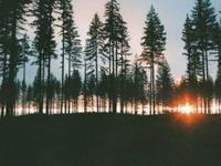 测你单身的原因