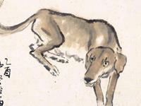 生肖狗关乎前途的建议