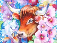 生肖牛年前不可错过的好机遇