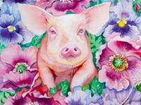 生肖猪年前不可错过的好机遇