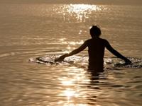 11月份生肖兔爱情运势走向