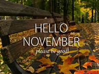 生肖牛，你的十一月职场备战