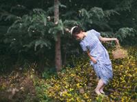 李云天2017年生肖鸡运势详细版