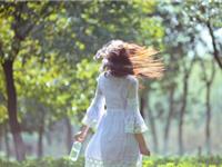 艾菲尔2016年11月星座运势