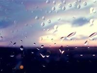 金爱伦2016年11月处女座运势