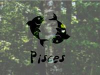 双鱼座需要升级啥新技能