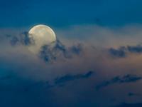 女巫树洞2016年11月金牛座运势