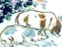 属猪人2018年运势 2018年属猪人的全年运程