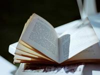 超灵验开运大师2017年生肖兔运势