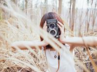 李居明2017鸡年生肖狗运势