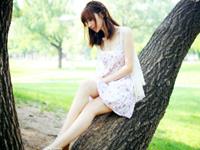 宋韶光2017年生肖鸡整体运程