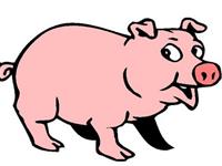 2017生肖猪如何把握好自己的事业财运