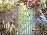 羲邑师姐2017年生肖鼠年度运势