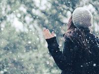 羲邑师姐2017年生肖马年度运势