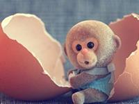 生肖猴，你的十二月工作运如何