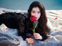 艾菲尔2017年狮子座运势