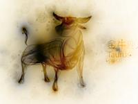 金牛座最想练成哪种武功秘籍