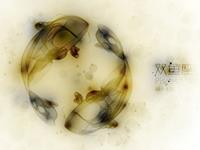 双鱼座最想练成哪种武功秘籍