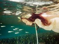 泓翔2017年生肖羊流年整体运程