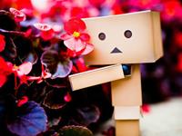 这些生肖口蜜腹剑