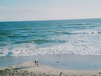 解析生肖鼠找到真爱的概率