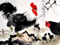 麦玲玲2017年生肖鸡运势