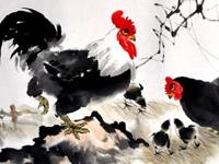 2017年是什么命，2017年是什么年