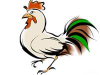 属鸡人在2017本命年应注意的事项