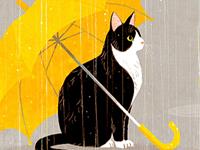 熊神进2017年鸡年龙生肖运程