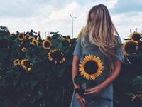 占卜你未来会成为虎妈吗