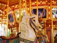 熊神进2017年1月星座运程