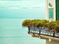 杨清华2017年羊生肖运势